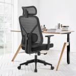 Office Furniture Modern Mesh Swivel Office Chair Ergonomic Computer Desk Chair 2D Lumbar Support Silla Oficina Chaise De Bureau